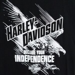 Harley-Davidson Black Short Sleeve Independence Tee Men’s Large.
